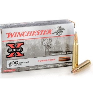 Win 300 super x power point 180gr x20