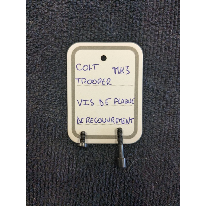 PIÈCE COLT TROOPER MK3 - VIS DE PLAQUE DE RECOUVREMENT