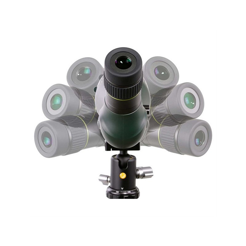 LONGUE VUE Vanguard 20x60 Vesta 80A