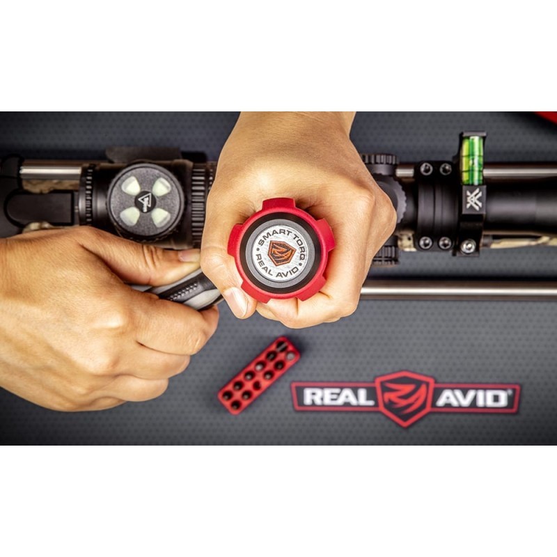 Tournevis dynamométrique Smart Torq REAL AVID