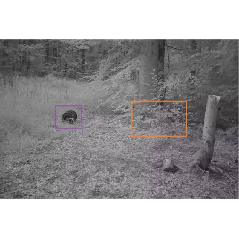 ZEISS PIEGE PHOTO VIDEO AVEC TRANSMISSION PAR RESEAU MOBILE Secacam 7