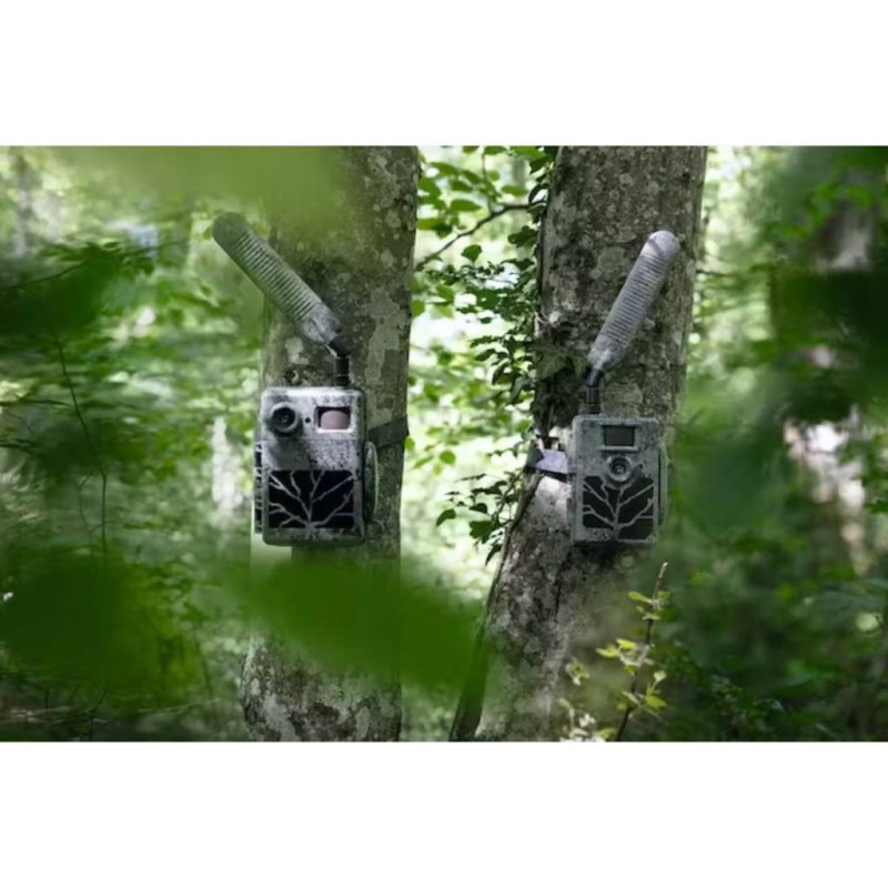 ZEISS PIEGE PHOTO VIDEO AVEC TRANSMISSION PAR RESEAU MOBILE Secacam 7