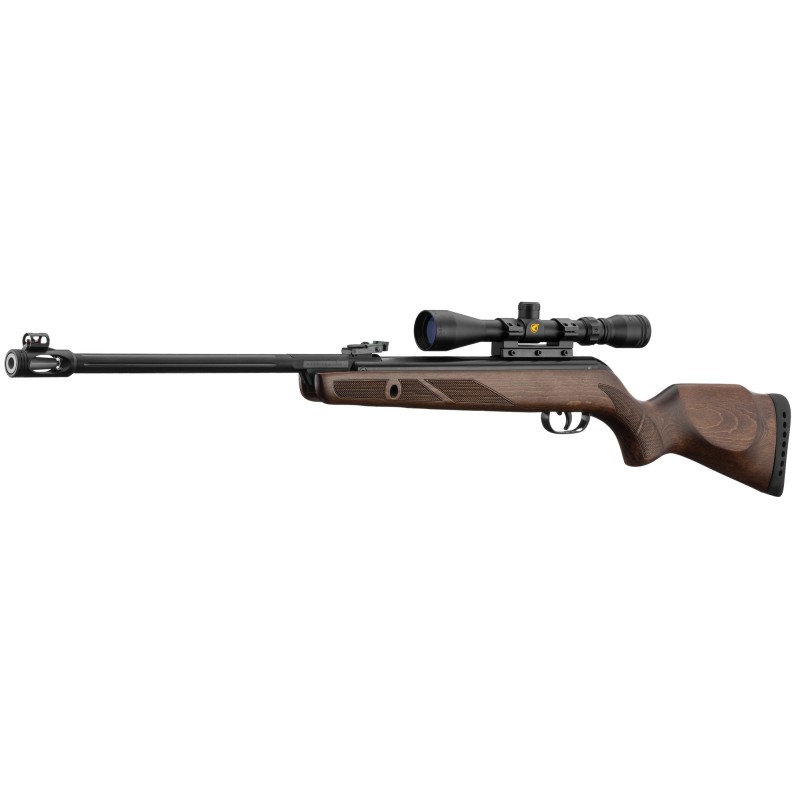 Carabine air comprimé GAMO HUNTER 440 AS COMBO- LUNETTE 3-9X40 WR - PL
