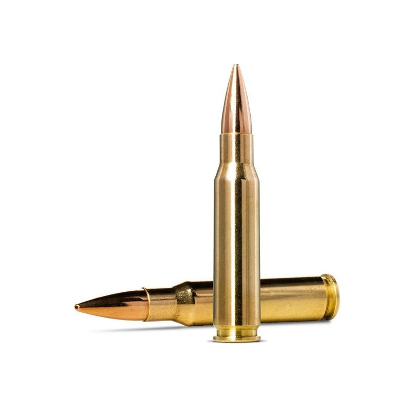 CARTOUCHES NORMA .308WIN 10.9GRAMMES - 168GRAINS - GOLDEN TARGET X 20 cartouches
