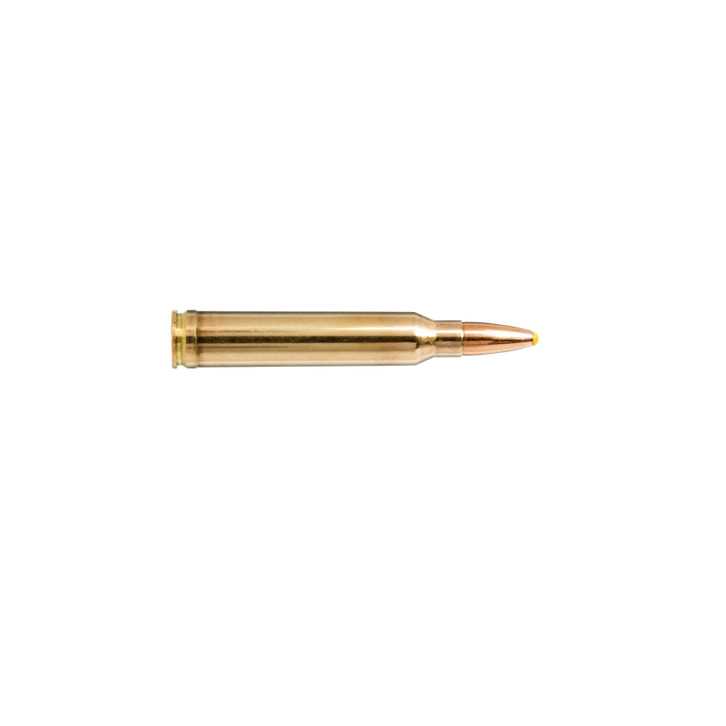 Cartouche Norma PLASTIC POINT 300 WIN MAG - 180GRAINS (11.7g) X20