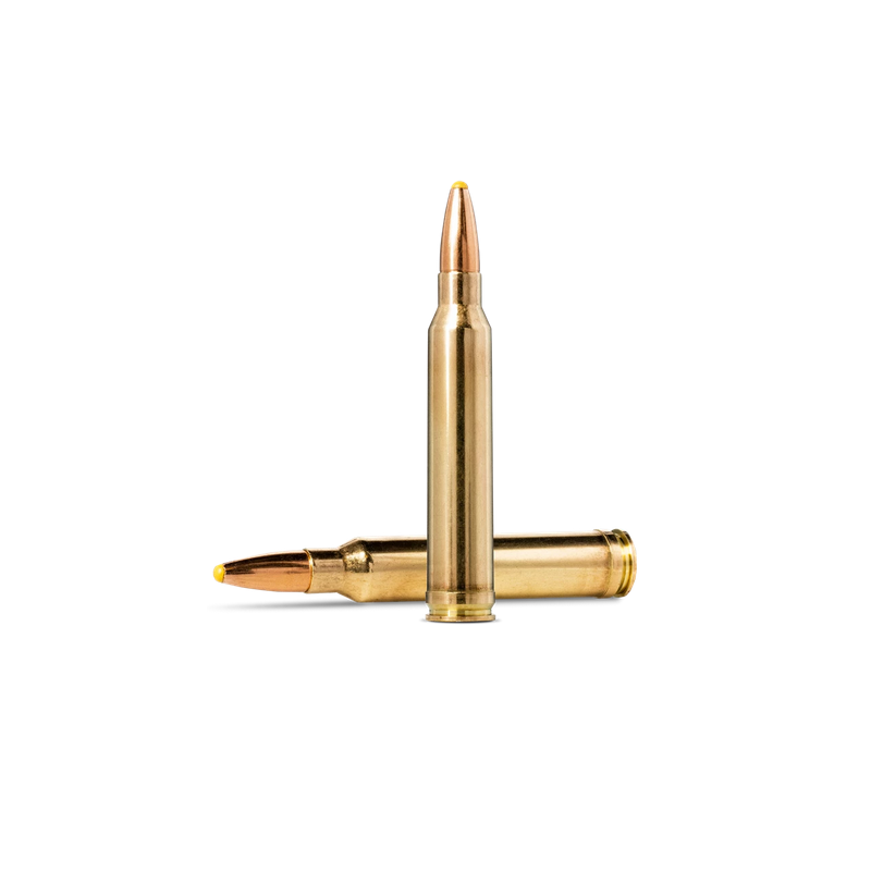 Cartouche Norma PLASTIC POINT 300 WIN MAG - 180GRAINS (11.7g) X20