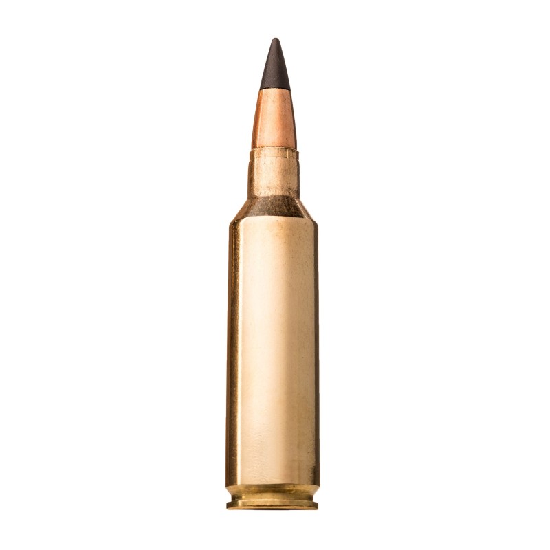 Cartouches WINCHESTER Extreme Point - 30-06 SPRG - 180GR - X20