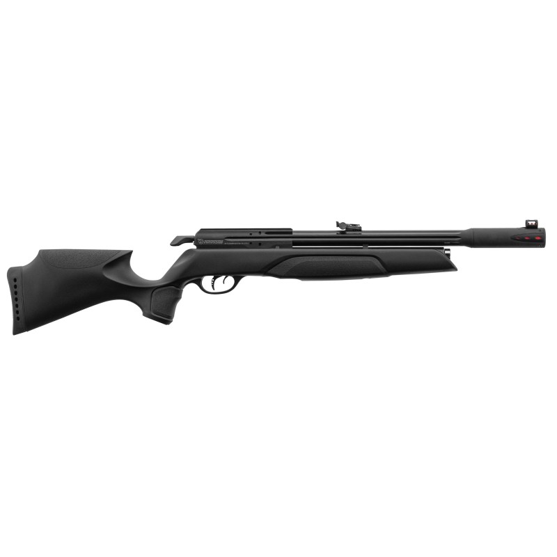 PACK CARABINE GAMO ARROW PCP - CAL: 5,5mm - 19.9 Joules