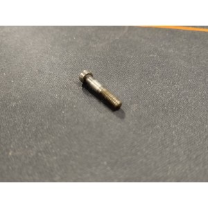 Vis de sécurité, safety screw STEYR M95 N°10