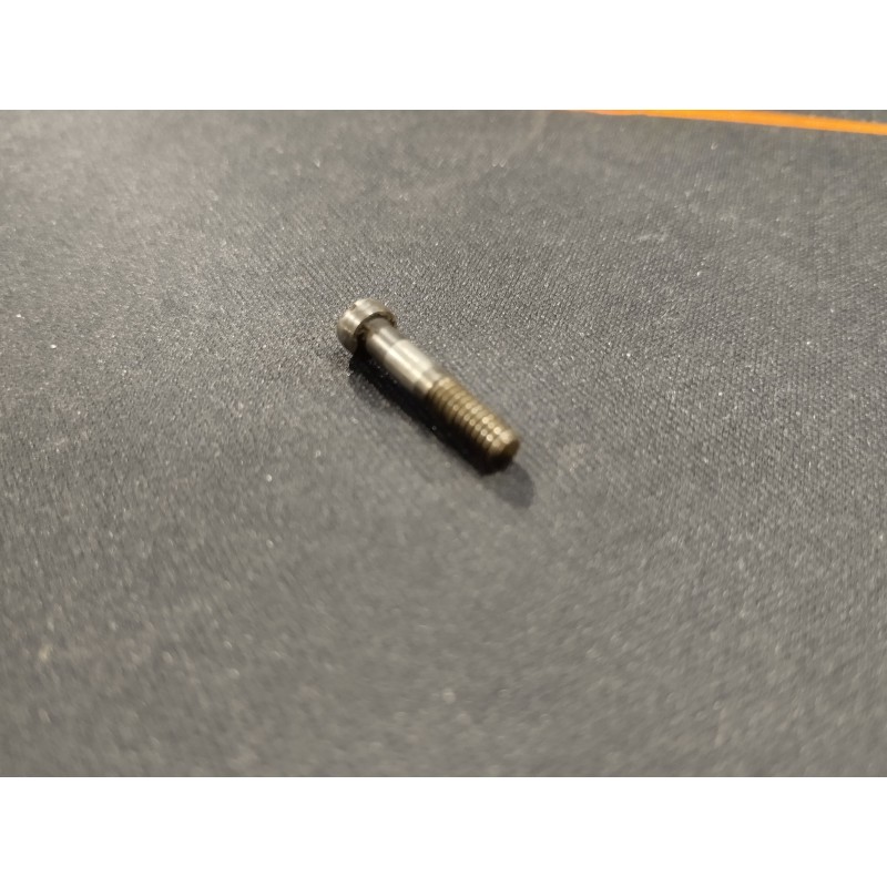 Vis de sécurité, safety screw STEYR M95 N°10