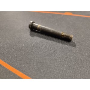 Vis de pontet arrière, trigger guard screw rear STEYR M95 N°19