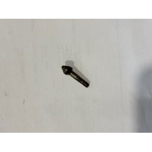 WALTHER PP GUIDE RESSORT DE PONTET (TRIGGER GUARD PLUNGER ) PPZM-22