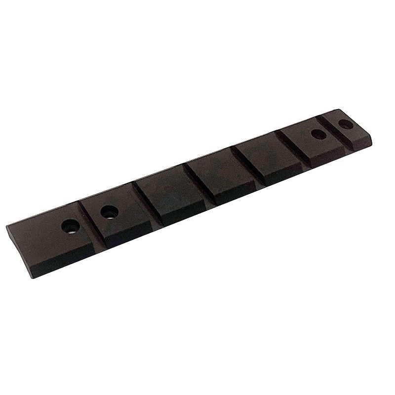 Rail Weaver Leupold pour BAR Arttech Argo Chronos