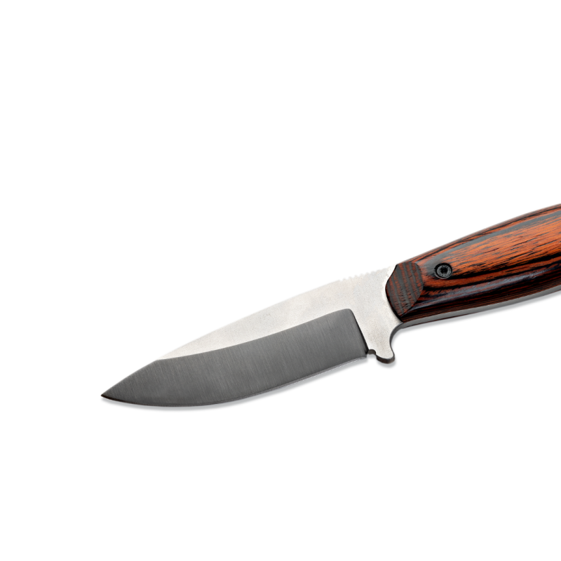 Couteau Wildsteer Kastor Pakkawood Cocobolo Lame Brossée - Neuf