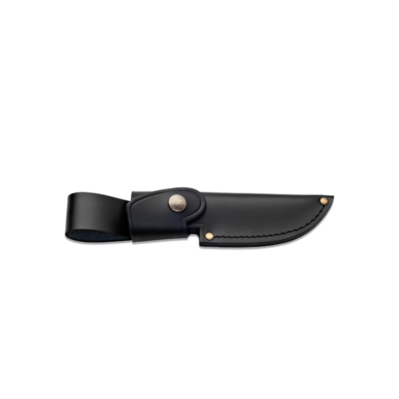 Couteau Wildsteer Kastor Pakkawood Cocobolo Lame Brossée - Neuf
