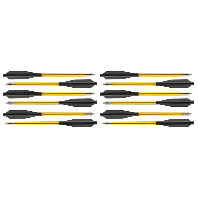 12 FLÉCHETTES 6.5'' POUR PISTOLETS ARBALÈTE SHOOT AGAIN