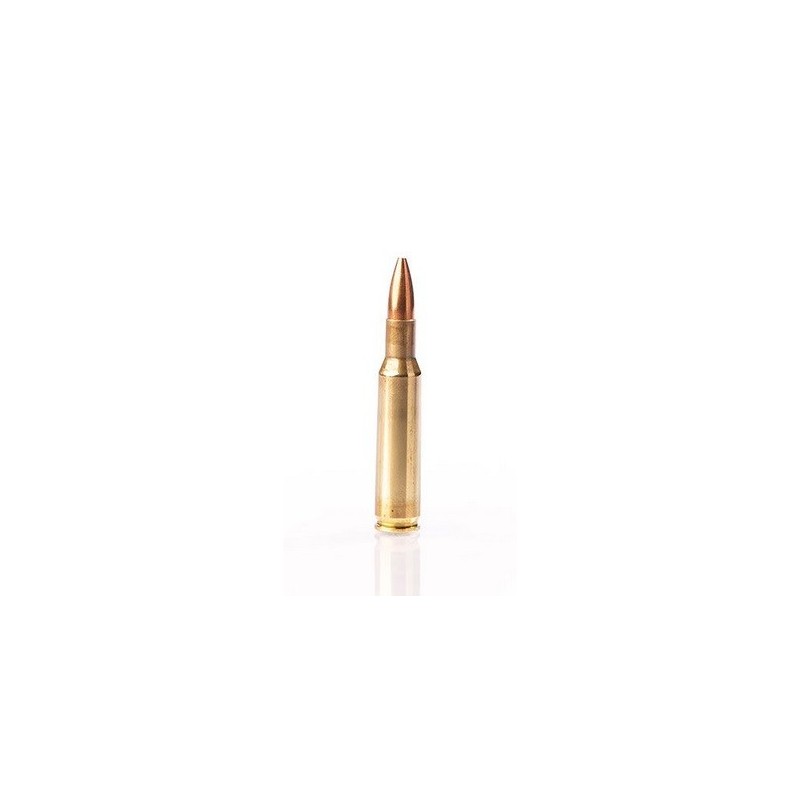 Cartouches FIOCCHI .222 Rem FMJ HP 50gr - Chasse et Tir Sportif