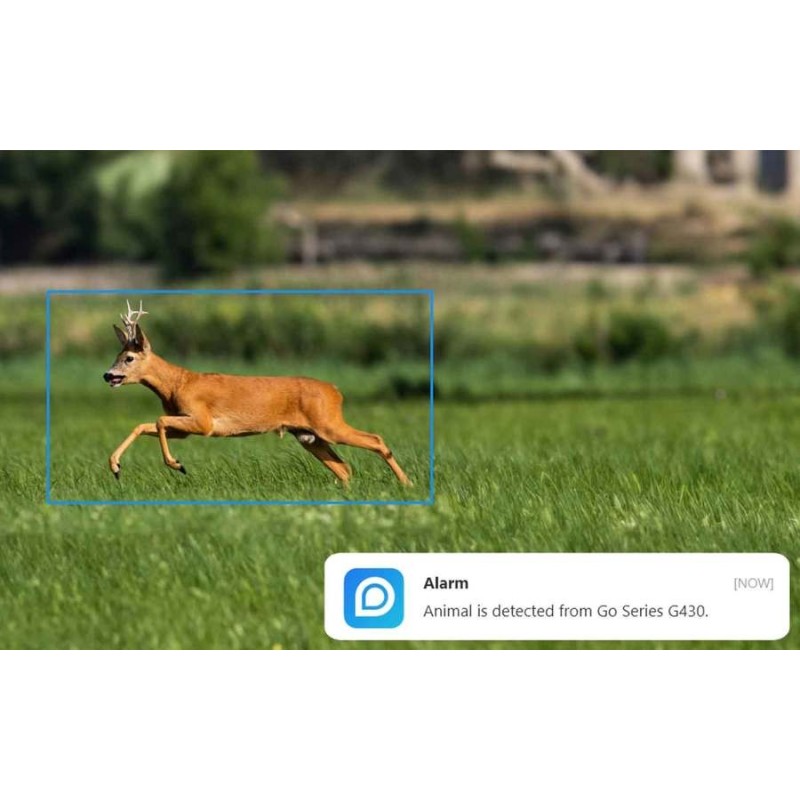 Reolink go G450 V2 – caméra 4g sans fil 360° avec vision nocturne