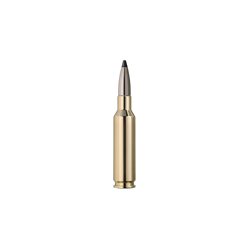 Cartouches RWS SPEED TIP-PRO HUNTING - Cal:6,5 Creedmoor - 140Grs/9,1G
