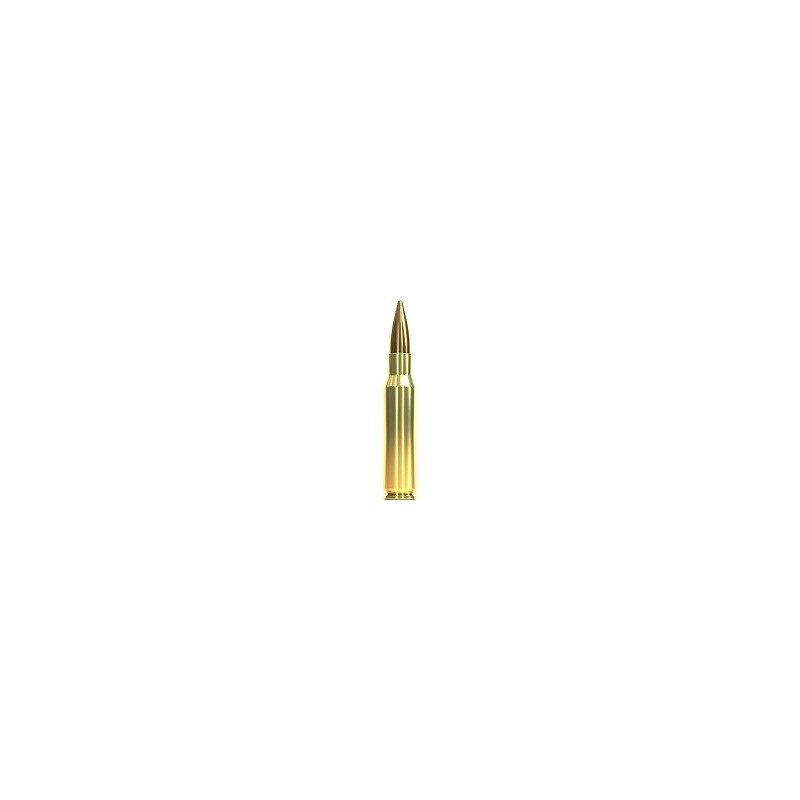 Cartouches Sellier & Bellot 308 win (7,62x51) SUBSONIC - FMJ - 200grs