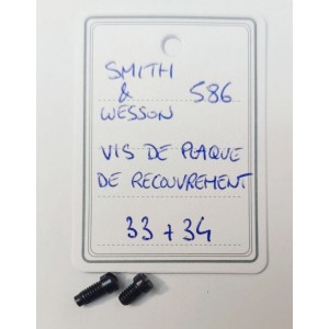 PIÈCE SMITH & WESSON MOD 586 - L FRAME - VIS DE PLAQUE DE RECOUVREMENT