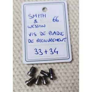 PIÈCE SMITH & WESSON MOD 66 - K FRAME - VIS DE PLAQUE DE RECOUVREMENT