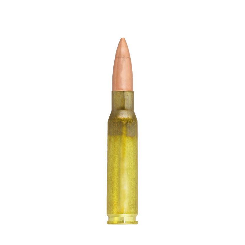 Cartouches LAPUA FMJBT D46 - Cal: 308 WIN - 185Gr (12.0g) par 20