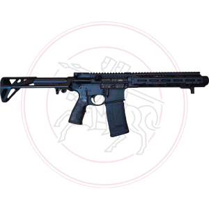 Carabine semi-automatique Daniel Defense DDM4 PDW .300 BLK 10.3"