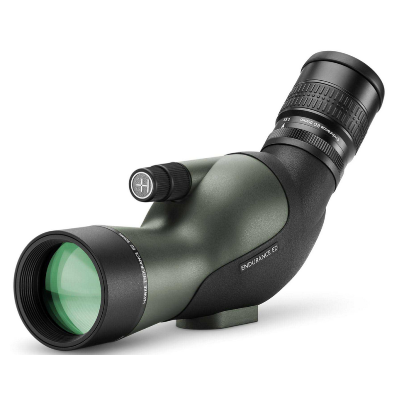 Longue vue Endurance ED 13-39x50 compacte