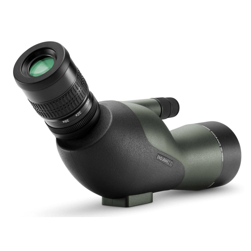 Longue vue Endurance ED 13-39x50 compacte