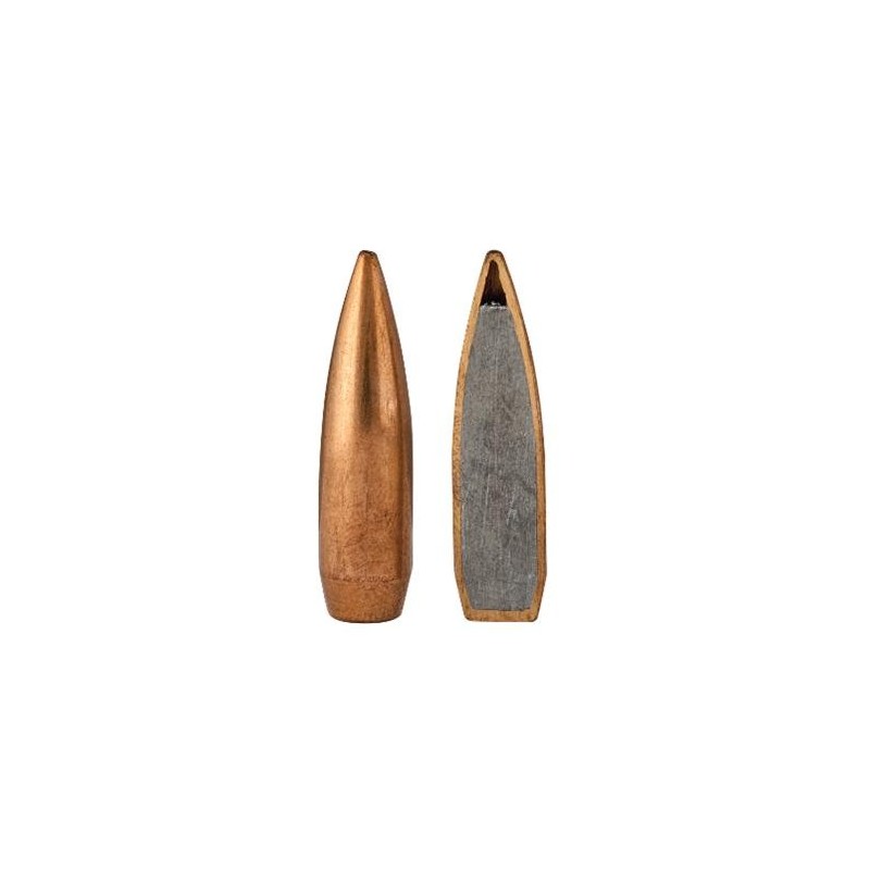 Federal 308 Win 168gr Sierra MatchKing