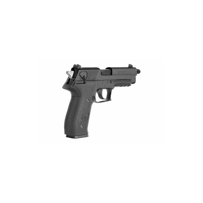Pistolet GSG Firefly 22LR Fileté - Tir Sportif