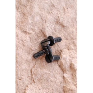 Vis pour plaquettes de Sig Sauer model Mosquito - Par 1