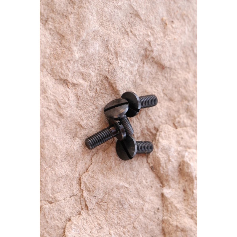 Vis pour plaquettes de Sig Sauer model Mosquito - Par 1