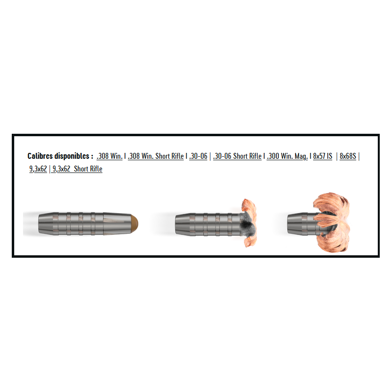 Cartouches RWS DRIVEN HUNT - Cal: 30-06 - 10,7g (165gr) - X20