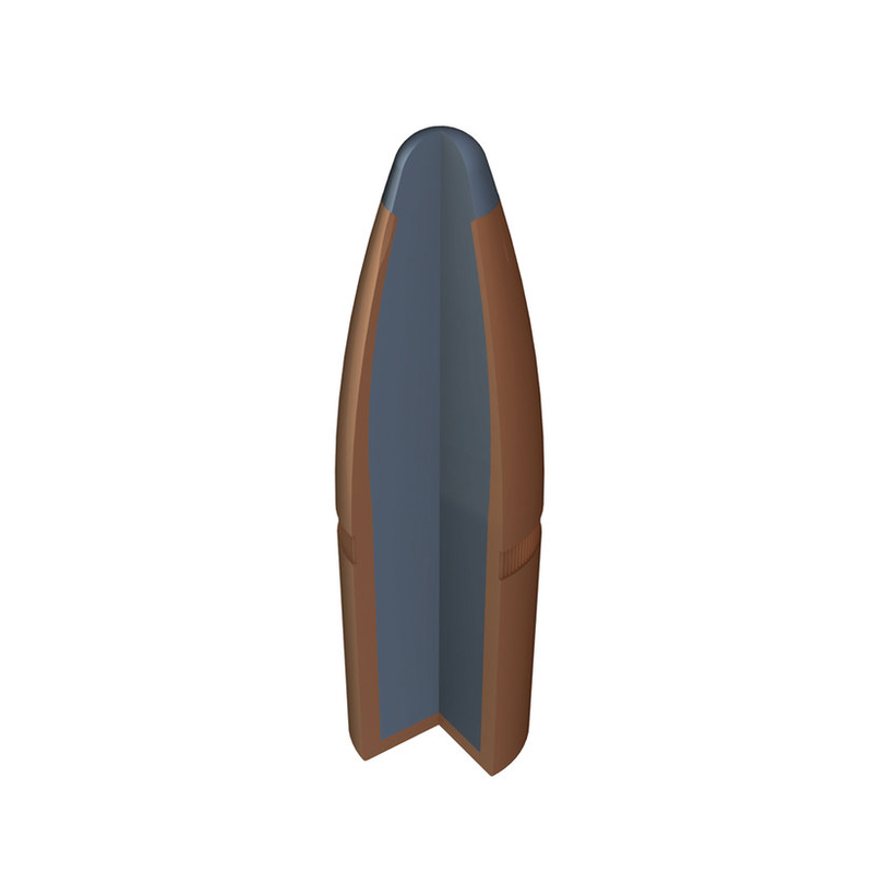 Cartouches WINCHESTER SUPER X POWER POINT - Cal: 9,3x62 - 286 grs (18,