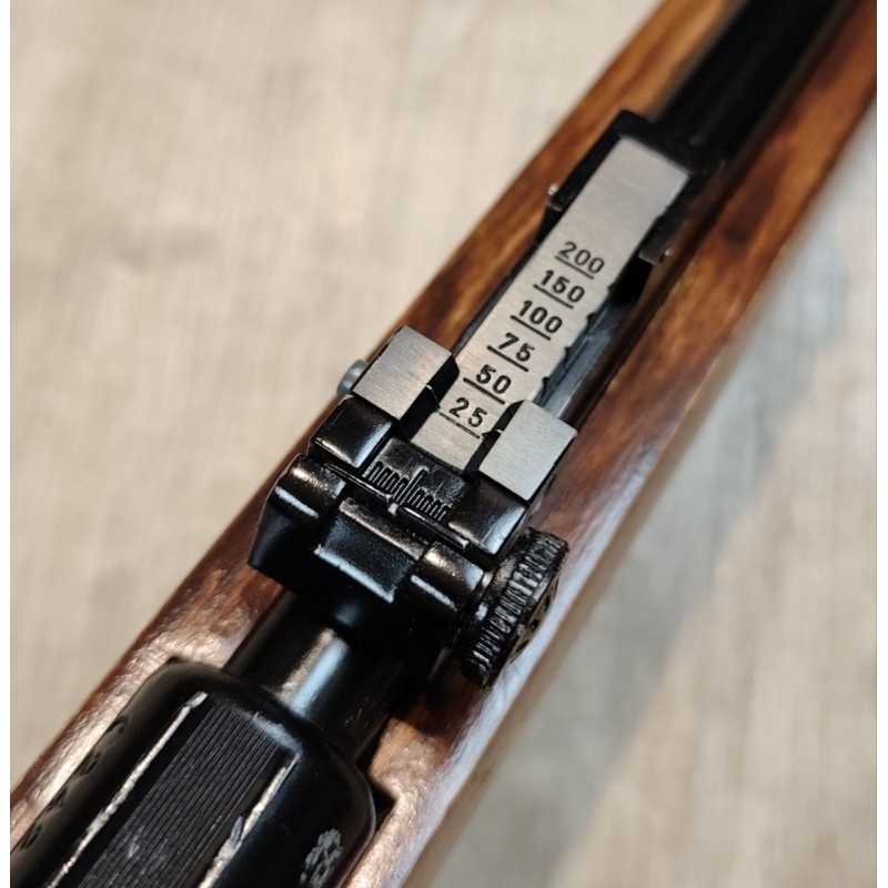 Manu Arm .22 LR semi-auto – Canon fileté 51 cm, chargeur 10 coups
