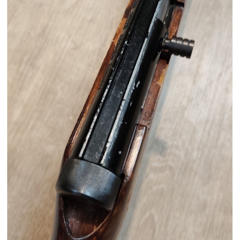 Manu Arm .22 LR semi-auto – Canon fileté 51 cm, chargeur 10 coups