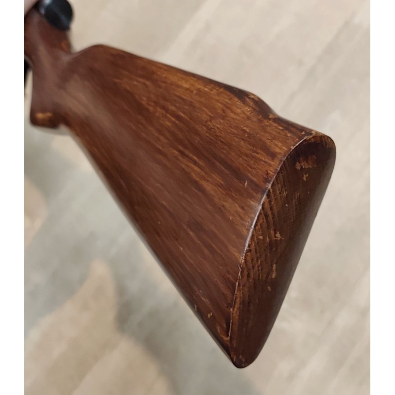 Manu Arm .22 LR semi-auto – Canon fileté 51 cm, chargeur 10 coups