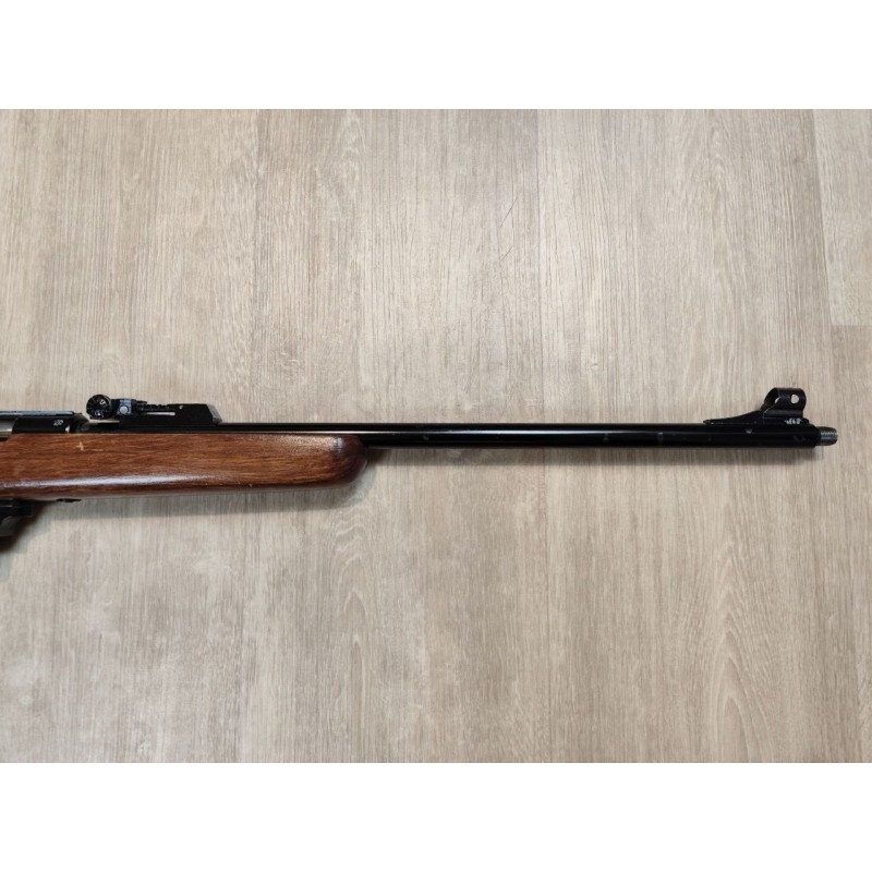 Manu Arm .22 LR semi-auto – Canon fileté 51 cm, chargeur 10 coups