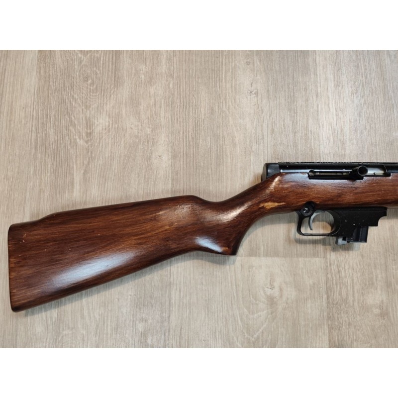 Manu Arm .22 LR semi-auto – Canon fileté 51 cm, chargeur 10 coups