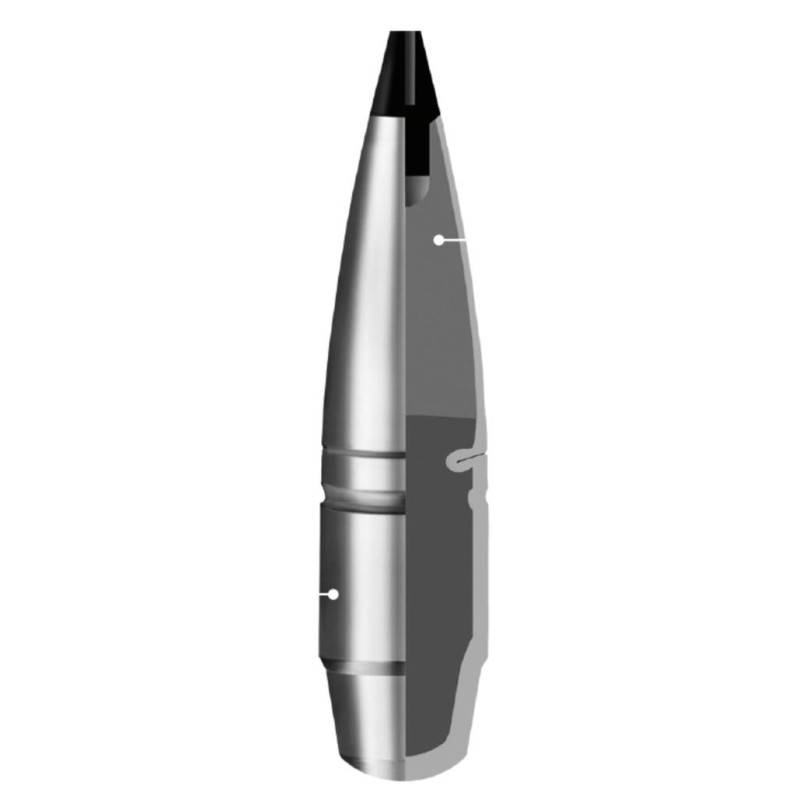 RWS Speed Tip Pro .308 Win 165gr