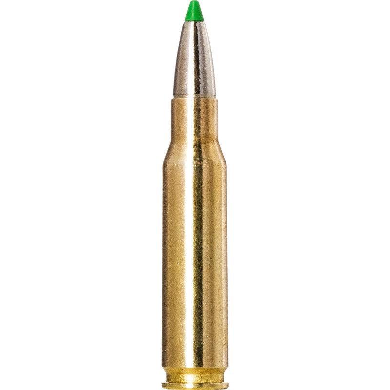 Cartouche Norma Ecostrike Silencer .308 Win 9,7 g