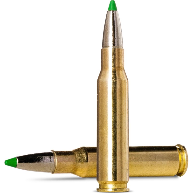 Cartouche Norma Ecostrike Silencer .308 Win 9,7 g