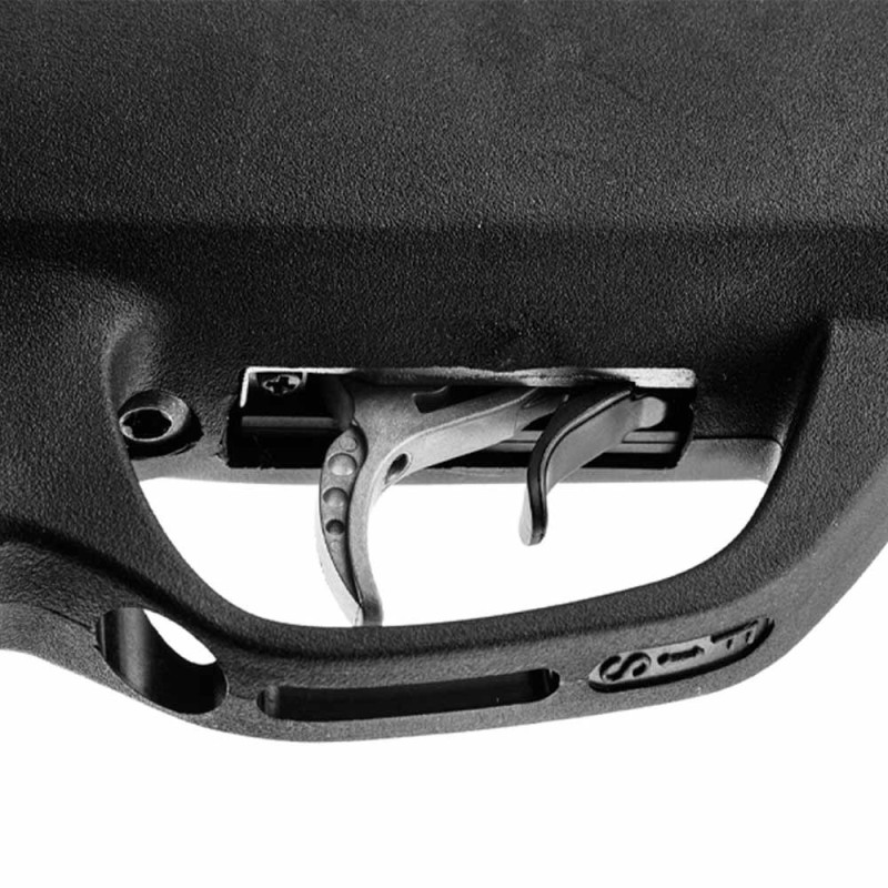 PACK CARABINE AIR COMPRIMÉ GAMO ROADSTER IGT 10 GEN2 - Plombs 4,5 - 19,9J + Lunette 4x32