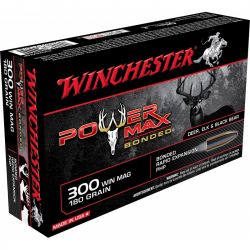 Cartouches WINCHESTER 300 Win Mag super x power point 180gr x20