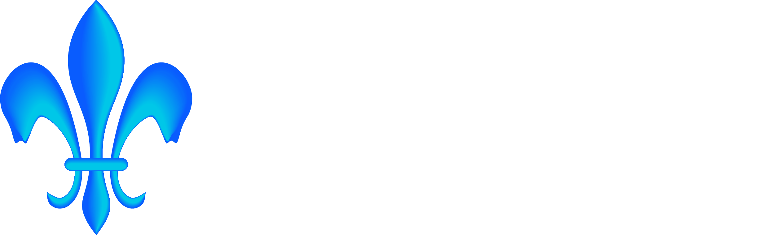 BGM
